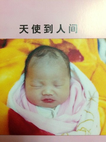 journal_insert_pic_127408472