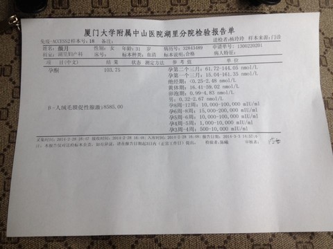 journal_insert_pic_127568127