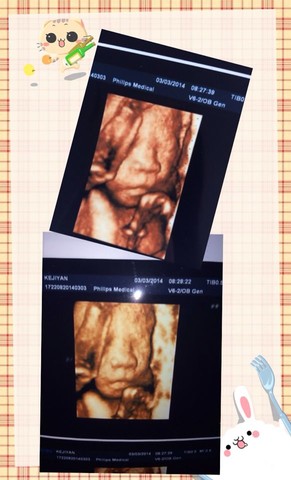 journal_insert_pic_127513963