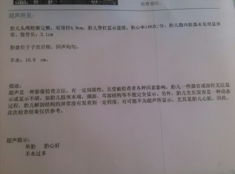 journal_insert_pic_127685029