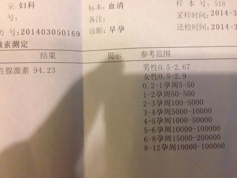 journal_insert_pic_127873333