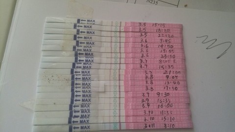 journal_insert_pic_128493941