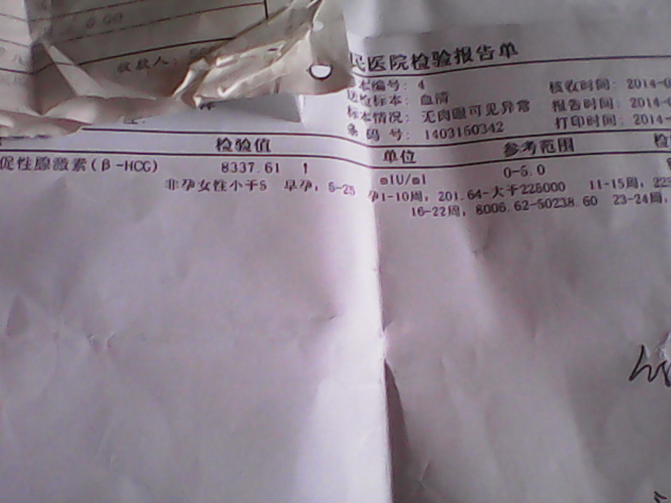 journal_insert_pic_129051716