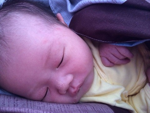 journal_insert_pic_129404400