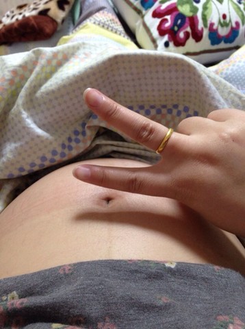 journal_insert_pic_129463847