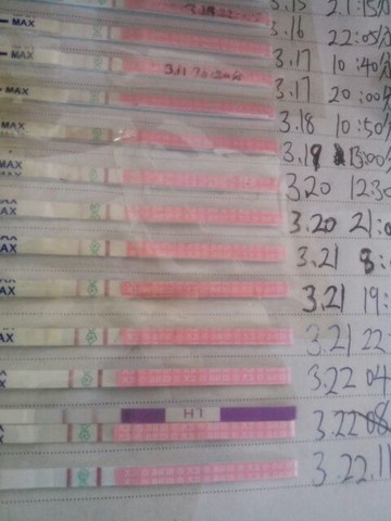 journal_insert_pic_129887939