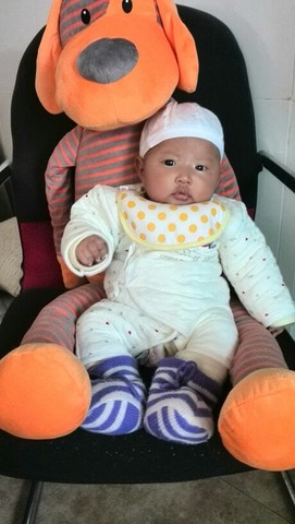journal_insert_pic_129868629