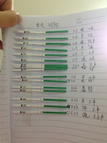 journal_insert_pic_130044847