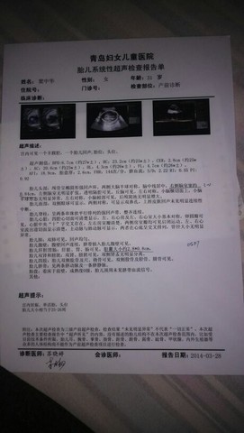 journal_insert_pic_130695234