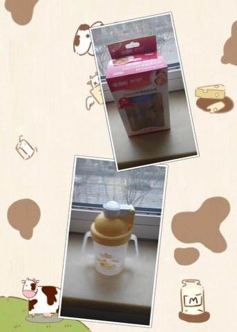 journal_insert_pic_130631616
