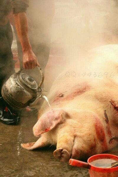 妻子怀孕还有一个星期面临生产,却在逛街的时候碰到老公和小三