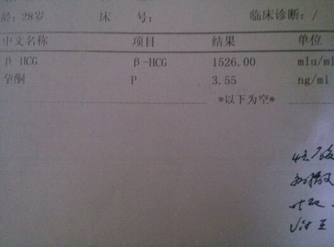 journal_insert_pic_130935375