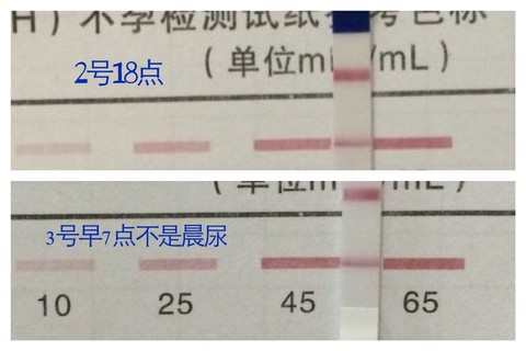 journal_insert_pic_131400256