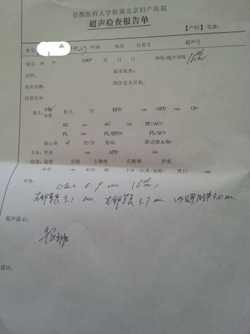 journal_insert_pic_131671354
