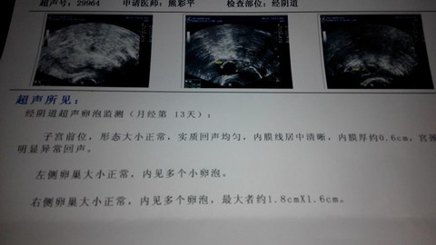 journal_insert_pic_132095631