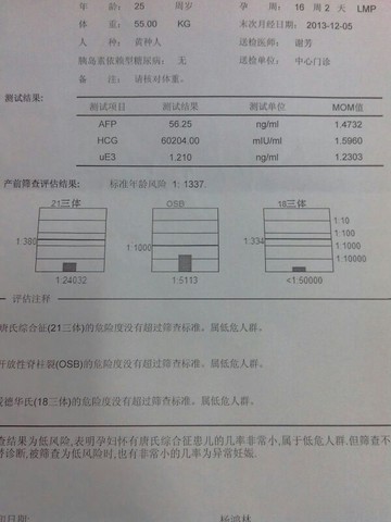 journal_insert_pic_132009130