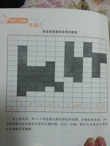 journal_insert_pic_132226087