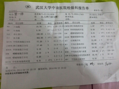 journal_insert_pic_132362088