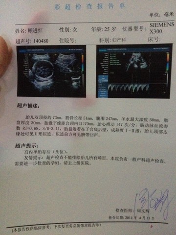 journal_insert_pic_132523948