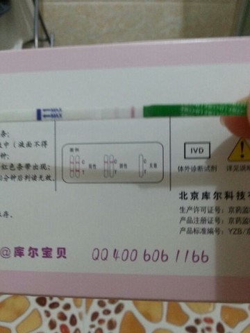 journal_insert_pic_132464272
