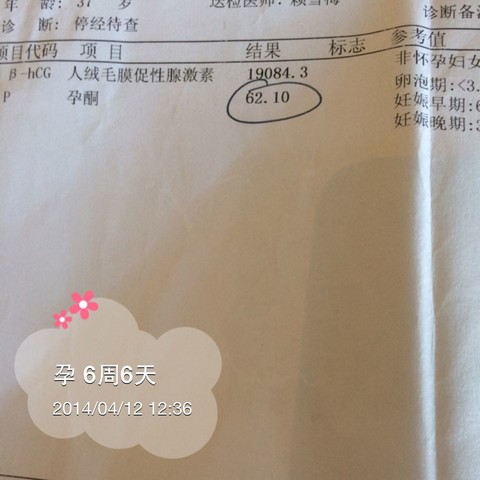 journal_insert_pic_132630000