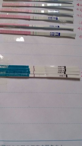 journal_insert_pic_132569868