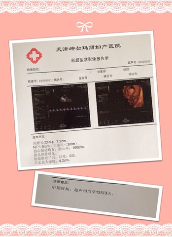 journal_insert_pic_133007046