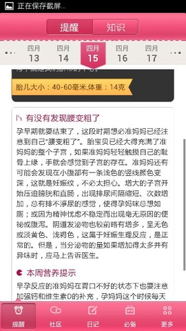 journal_insert_pic_132980135