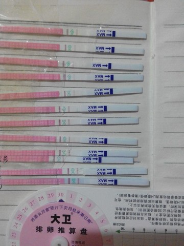 journal_insert_pic_133692043
