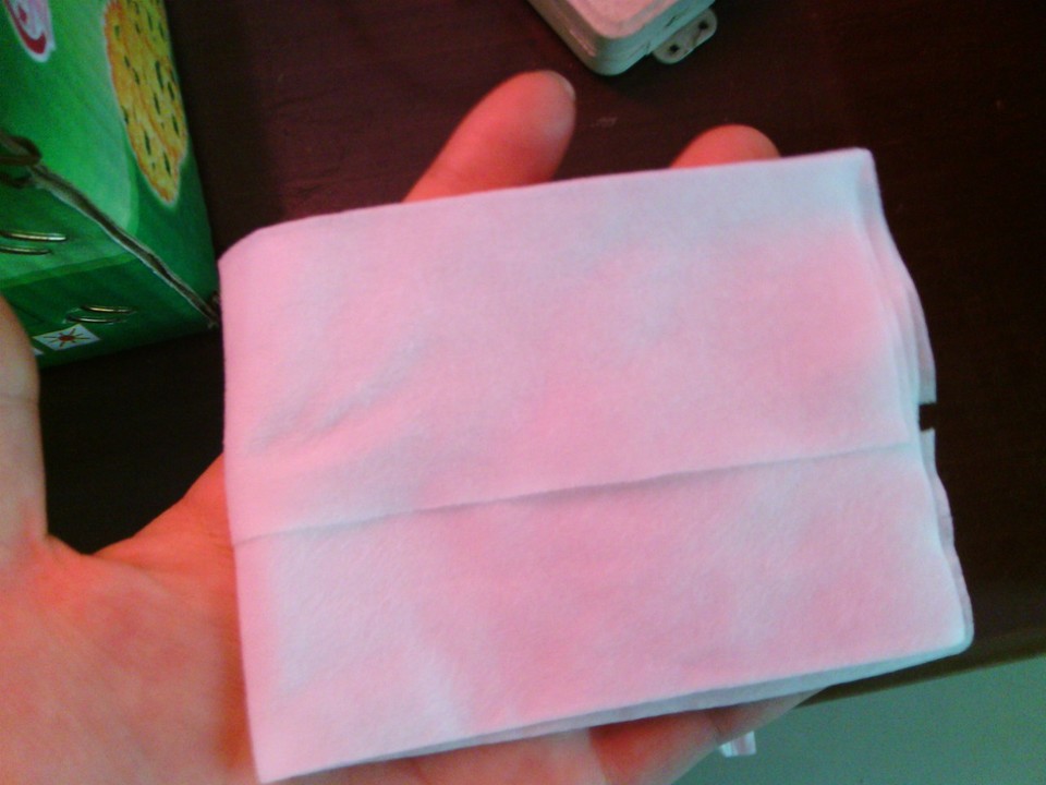 journal_insert_pic_134812411