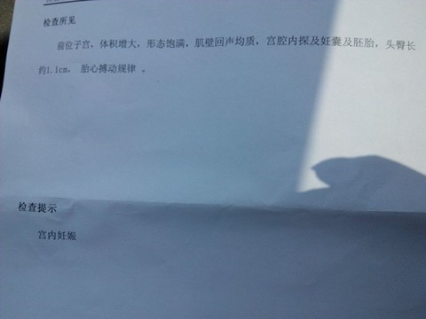 journal_insert_pic_135748203