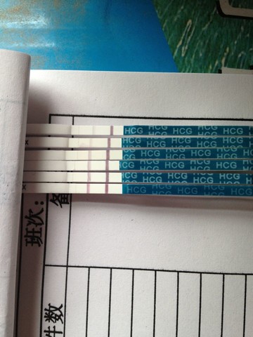 journal_insert_pic_136171004