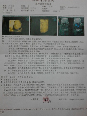journal_insert_pic_136333511