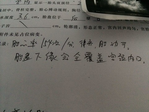 journal_insert_pic_136767821