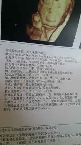 journal_insert_pic_136840644