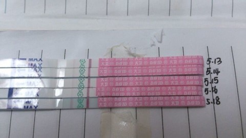 journal_insert_pic_137293787