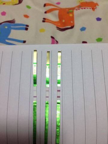 journal_insert_pic_137284690
