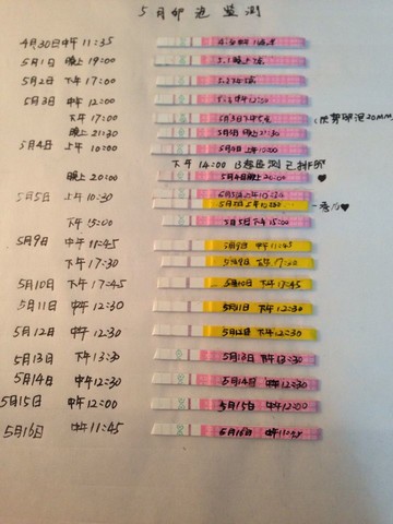 journal_insert_pic_137433193