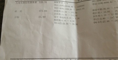 journal_insert_pic_138880707