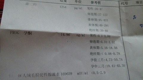 journal_insert_pic_139310347