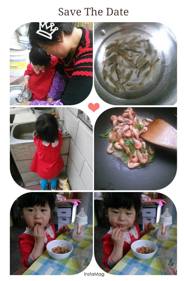 journal_insert_pic_139379457