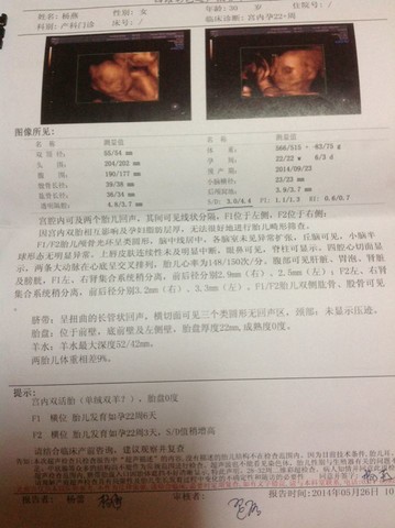 journal_insert_pic_139740666