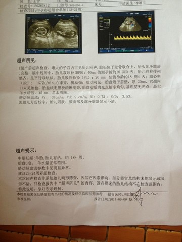 journal_insert_pic_139818079