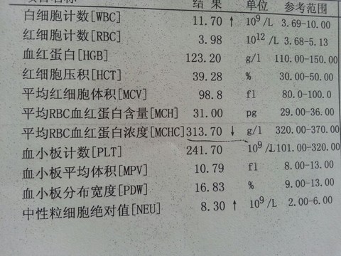 journal_insert_pic_141057000