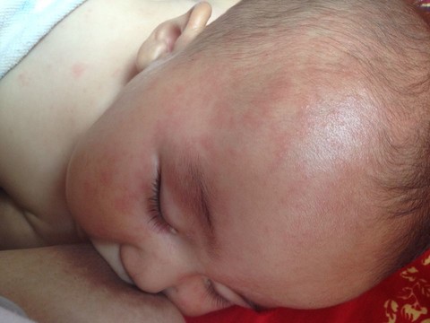 journal_insert_pic_141726186