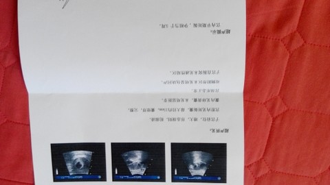 journal_insert_pic_141733509