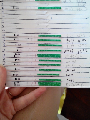 journal_insert_pic_142064020
