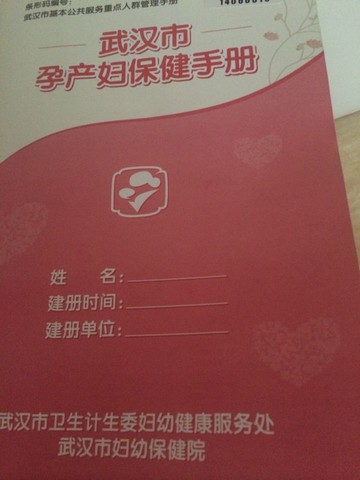 journal_insert_pic_142726921