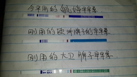 journal_insert_pic_143220683