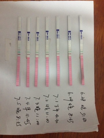 journal_insert_pic_143411025
